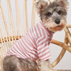 Футболка для домашних животных в полоску Shein