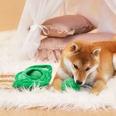 3шт игрушка для домашних животных Shein