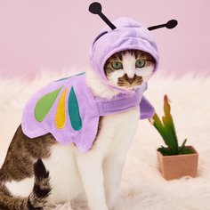 1шт костюм и 1шт шапка для домашних животных в форме пчелки Shein