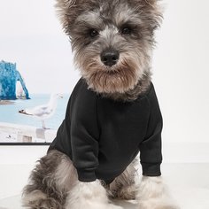 Однотонный свитшот для домашних животных Shein