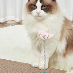 Игрушка-тизер для кошек в мультипликационной форме Shein