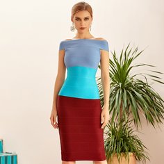 на молнии Контрастный цвет Очаровательный Платья Shein