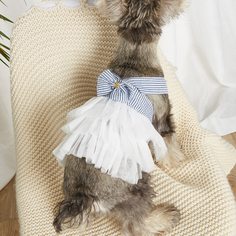 Контрастная сетка Полосатый Платья для домашних животных Shein
