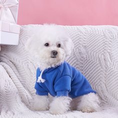 Одноцветный Свитшоты и худи для домашних животных Shein