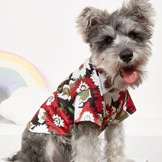 Со цветочками Рубашки для домашних животных Shein