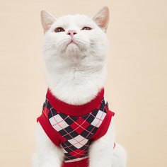 Майка для домашних животных с узором алмаза Shein