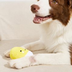 Звуковая игрушка для домашних животных в форме эскимо Shein