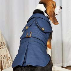 Ветровка для домашних животных Shein