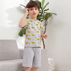 Шорты и футболка с мультипликационным принтом для мальчиков Shein