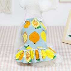 Фрукты и овощи Платья для домашних животных Shein