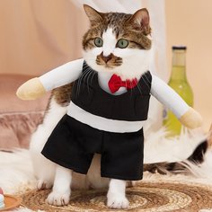 Костюм для домашних животных в форме официанта Shein