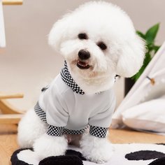 Толстовка для домашних животных в форме панды Shein