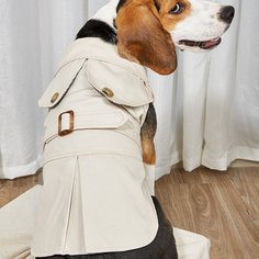 Ветровка для домашних животных с пряжкой Shein