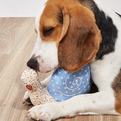 Жевательная игрушка для домашних животных в форме улитки Shein