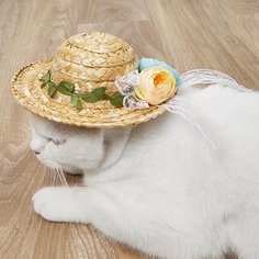 Соломенная шляпа с цветком для домашних животных Shein