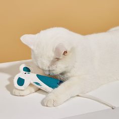 Мультяшный принт Звуковые игрушки для домашних животных Shein