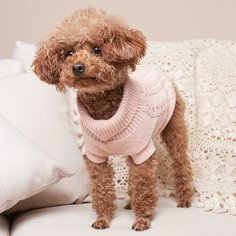 Свитер для домашних животных Shein