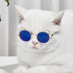 Одноцветный Очки для домашних животных Shein