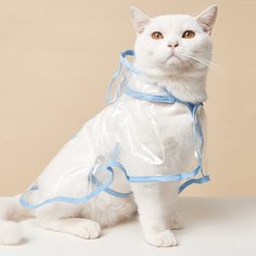 Мультяшный принт Дождевые плащи для домашних животных Shein