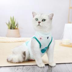 Костюм для восстановления питомцев с мультипликационным рисунком Shein