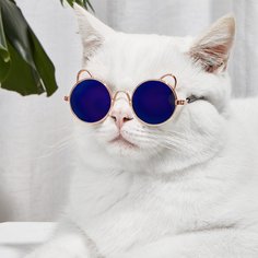 Очки для домашних животных 1 пара Shein