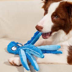 1шт звуковая игрушка для домашних животных в форме осьминога Shein