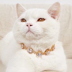 Ожерелье для домашних животных со стразами Shein
