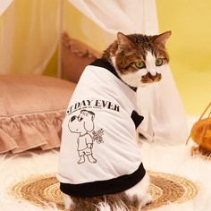 Мультяшный принт Майки для домашних животных Shein