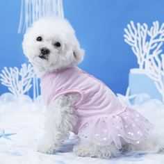 Фламинго Платья для домашних животных Shein