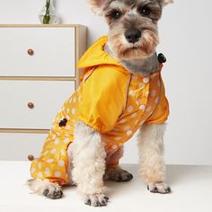 В горошек Комбинезоны для домашних животных Shein