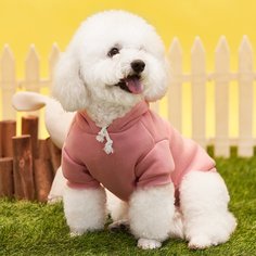 Одноцветный Свитшоты и худи для домашних животных Shein