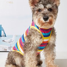 Полосатый Майки для домашних животных Shein