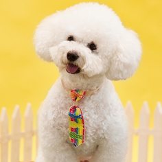 Пасхальный галстук для домашних животных с принтом кролика Shein