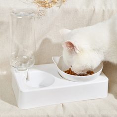 Двойная миска для домашних животных с бутылкой Shein
