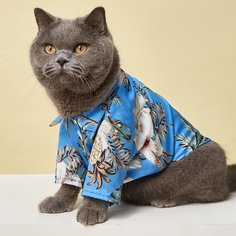 Рубашка для домашних животных с цветочным принтом Shein