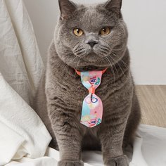 буква Галстуки и бабочки для домашних животных Shein