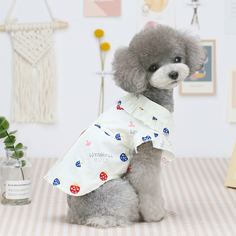 Растения Рубашки для домашних животных Shein