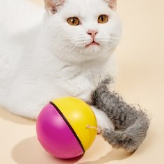 Игрушка-дразнилка для кошек в форме электрического бобрового шара случайного цвета Shein