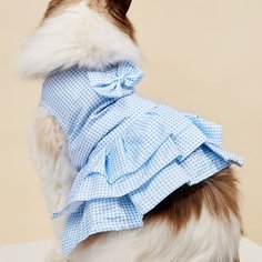 В горошек Платья для домашних животных Shein