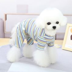 Полосатый Пижама для домашних животных Shein