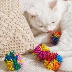 2шт игрушка-мяч для кошек случайного цвета Shein