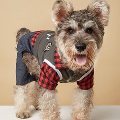 Клетка Комбинезоны для домашних животных Shein