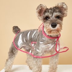 Лозунг Дождевые плащи для домашних животных Shein