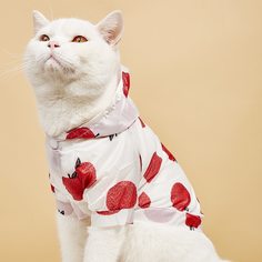 Фрукты и овощи Пальто и куртки для домашних животных Shein