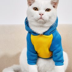 Толстовка для домашних животных с принтом акулы Shein