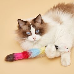 1шт плюшевая игрушка для домашних животных в форме крысы Shein