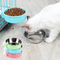 Одноцветный Миски для домашних животных Shein