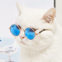 Одноцветный Очки для домашних животных Shein