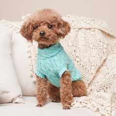 Одноцветный Свитера для домашних животных Shein