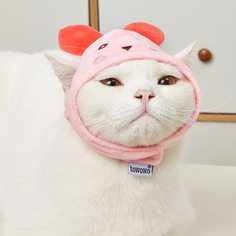 Шапка для домашних животных в форме медведя Shein